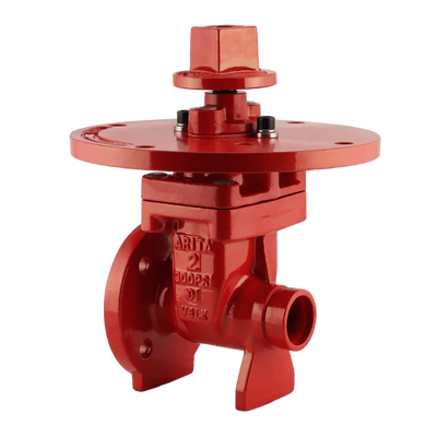 ARITA UL/FM Fire Protection NRS Gate Valve 300PSI Flange Groove NGA32 Series